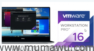 VMware16Pro搭建Centos7.9 64位并安装天龙八部环境-木马屋