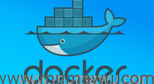 Docker 容器一键安装脚本及使用简单教程-木马屋