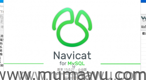 Navicat for MySQL 15 企业版破解教程及工具-木马屋