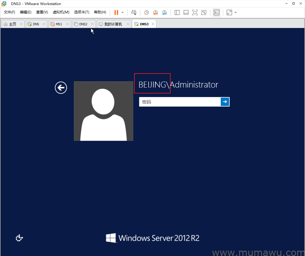 图片[9]-添加子域和树域-木马屋