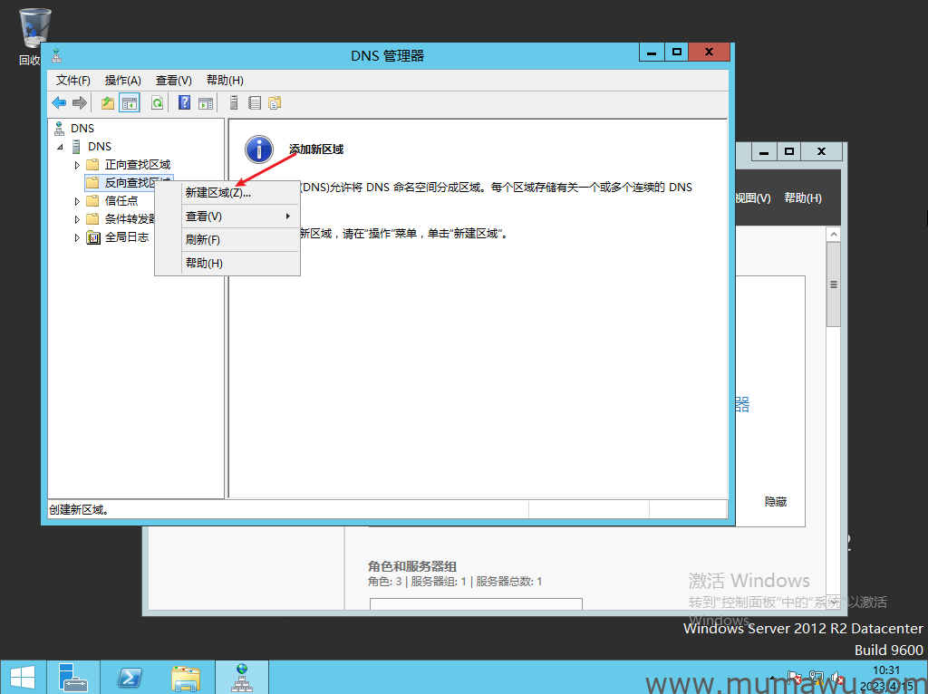 图片[6]-第二个树域安装好后的DNS相关设置-木马屋
