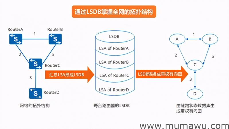 华为OSPF协议详解-木马屋