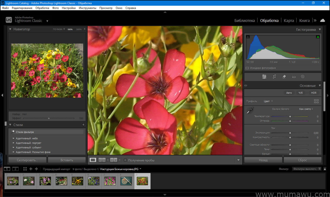图片[3]-Adobe-木马屋
