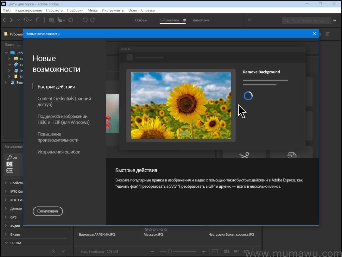 图片[3]-Adobe-木马屋