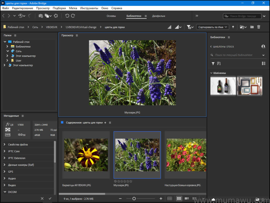 图片[4]-Adobe-木马屋