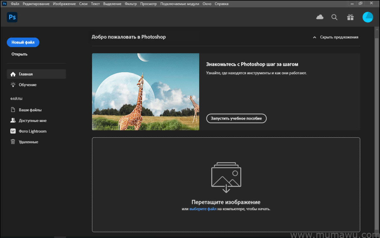 图片[3]-Adobe Photoshop 2025 (v26.0) 多国语言版本-木马屋